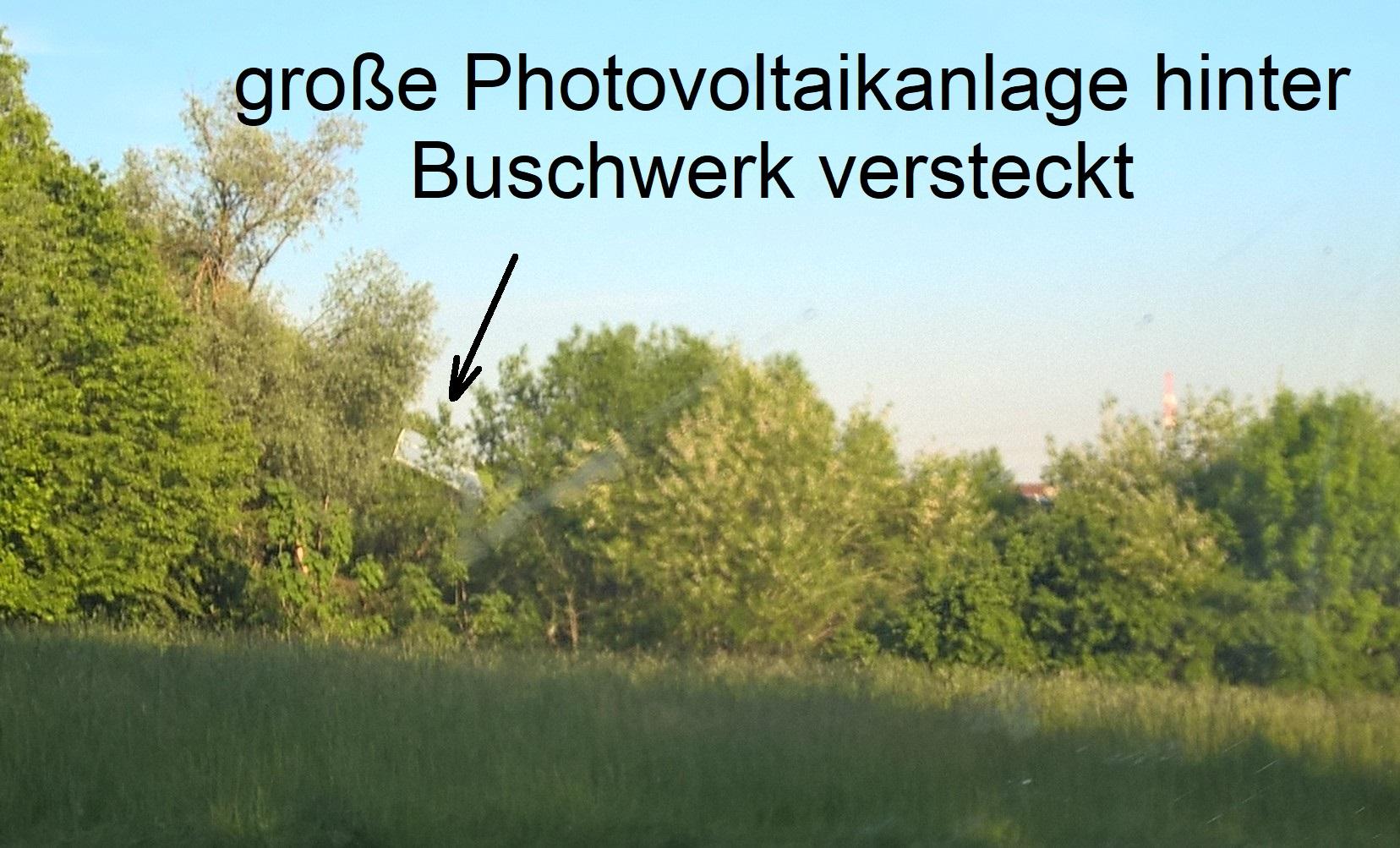 Buschwerk, hinter der eine kaum zu sehende, laut Beschriftung große Photovoltaikanlage versteckt ist. Ein Pfeil zeigt auf diese.